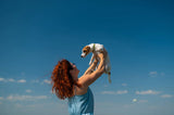 Which Dog Suits Me? The Ultimate Guide to Finding Your Perfect Canine Companion - YMOAs