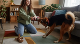 Winter Indoor Exercise & Enrichment for Dogs: Activities, Toys & Games