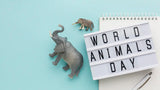 World Animal Day 2025: From Saint Francis to TikTok Trends