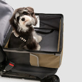 Dog sitting inside a pet carrier attached to a car seat on a white background
