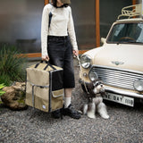 Dog sitting inside a pet carrier on a white background