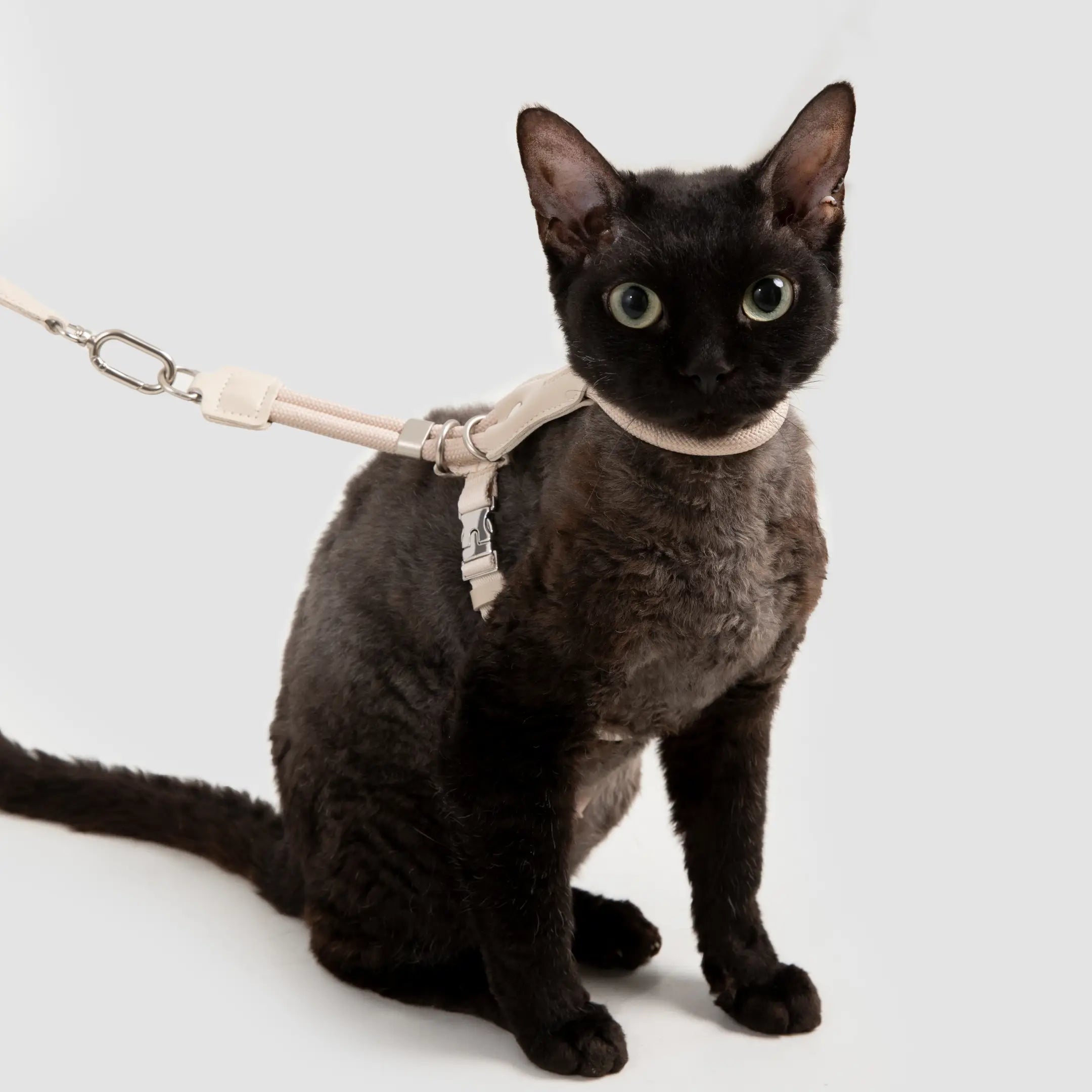 Touw en Leer Kattenharnas & Lijn