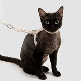 Touw en Leer Kattenharnas & Lijn