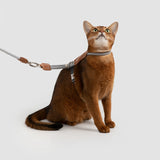 Touw en Leer Kattenharnas & Lijn