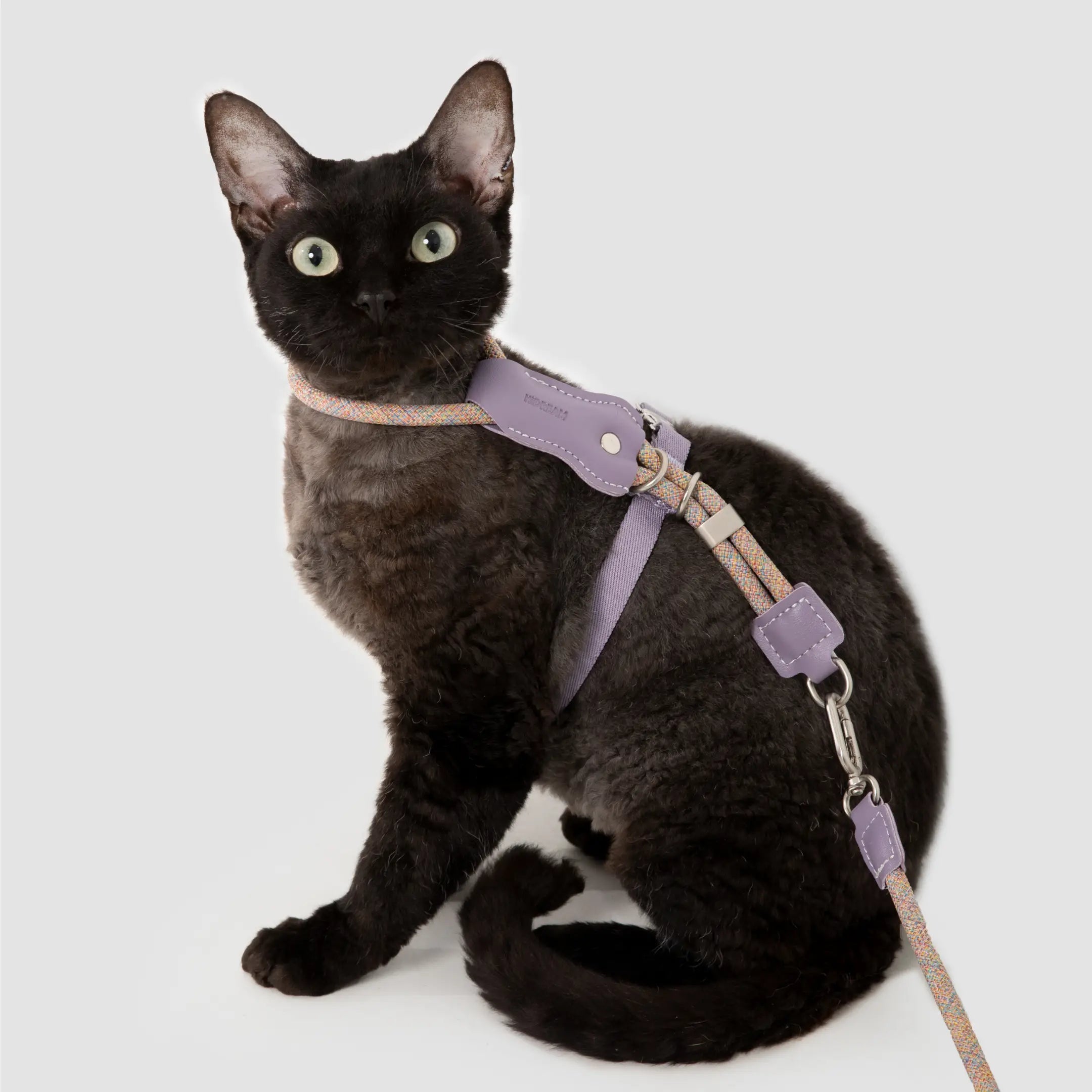 Touw en Leer Kattenharnas & Lijn