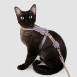 Touw en Leer Kattenharnas & Lijn