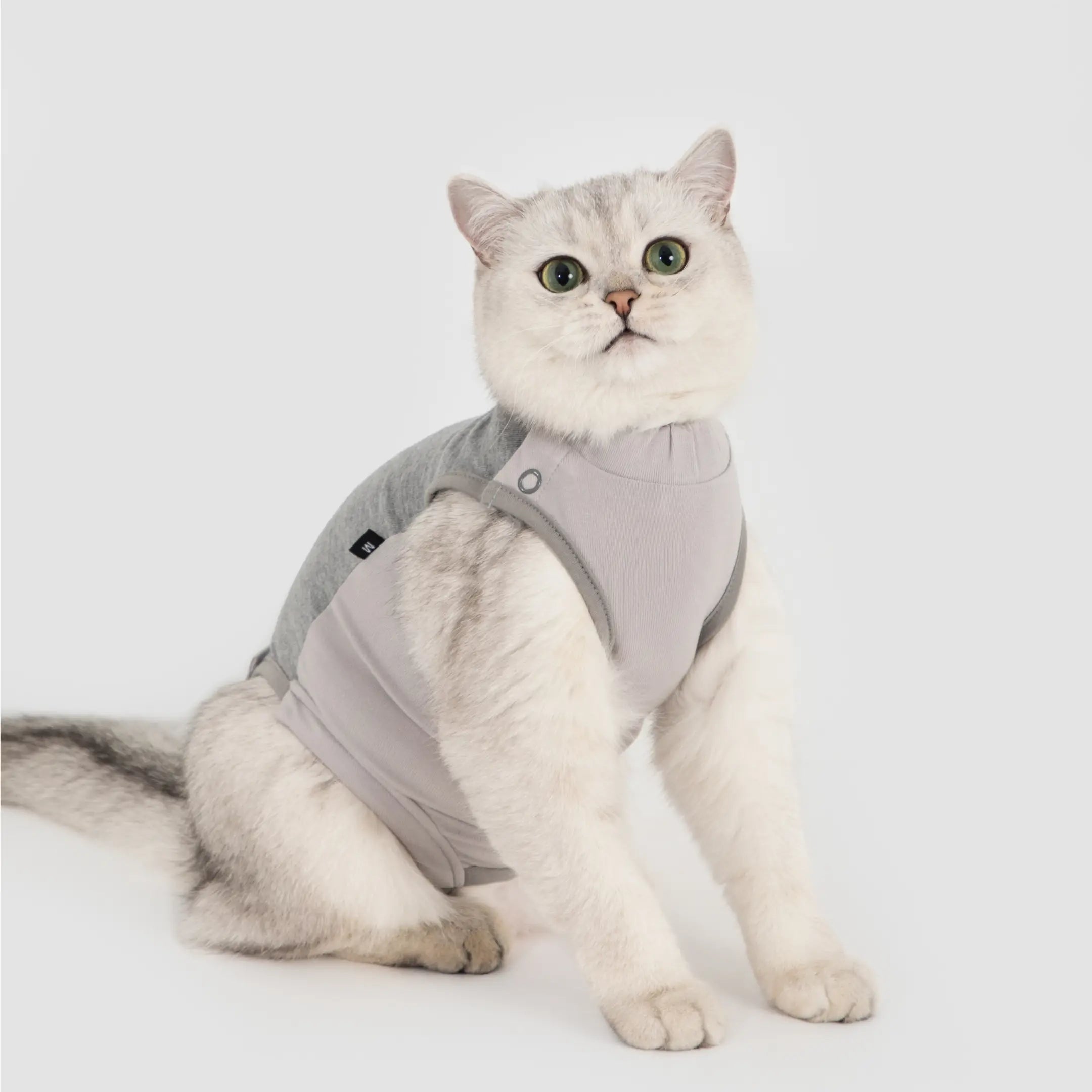 Easy Recover Herstelpak voor Katten