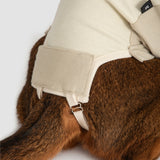 Close-up of a cat wearing a beige protective garment on a white background