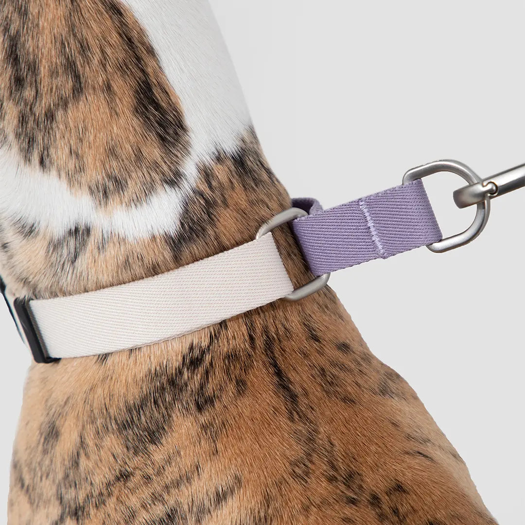 Heyday Hiker Anti-Trek Halsband Lilac Cream